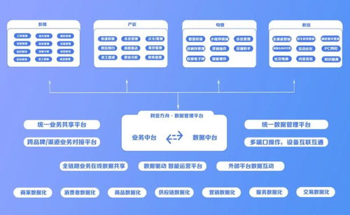业务中台系统 助力婚嫁至孕婴童企业从erp转型ebc数字化时代