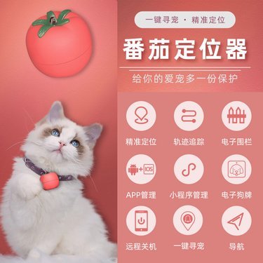 Wifi宠物储粮桶APP定制开发 贝兔兔 Android+IOS混合开发 磁吸充电