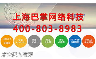 上海iOS App定制开发哪家服务好及ERP系统开发指南