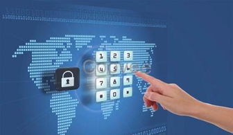 广州拆分复利软件系统开发果园平台模式与ERP系统定制开发